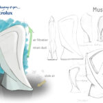 Must Dust Schizzi_ Bruno Testa_ISIA Pn_Product2 prof.M.Datti_AA 2012 2013_Electrolux